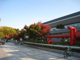 kyoto_4172