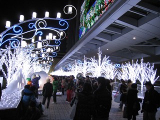 名古屋駅前 クリスマスイルミネーション1